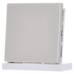 LS 994 B  - Cover plate for Blind plate cream white LS 994 B