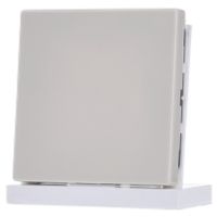 LS 994 B  - Cover plate for Blind plate cream white LS 994 B - thumbnail