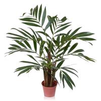 Chamaedorea Kunstpalm 65 cm - Kunstplant