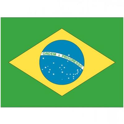Vlag van Brazilie stickers - 7 x 10 cm - Landen - Braziliaanse vlaggetjes