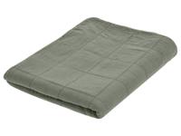 LIVARNO home Plaid 180 x 240 cm (Groen)