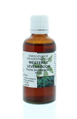 Cruydhof Thuja occidentalis / levensboom tinctuur 50 Milliliter