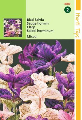 Salvia Horminum Tricolor Gemengd - Hortitops