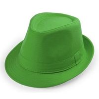 Trilby hoed groen verkleed accessoire 57 cm Trilby hoed groen verkleed accessoire 57 cm