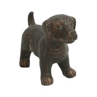 Hond Sita Bruin S -1 Hond Sita Bruin S -1