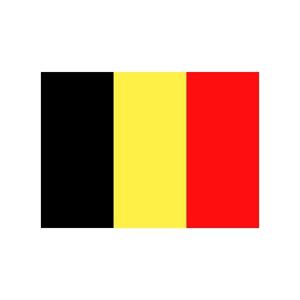 Vlag van Belgie stickers - 7.5 x 10 cm - Binnen/buiten