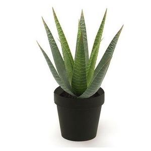 Kantoor kunstplant aloe vera groen in zwarte pot 23 cm