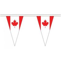 Extra lange Canada vlaggenlijnen van 5 meter   -