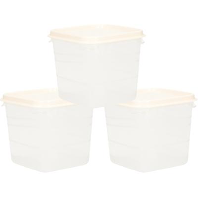 Hega Hogar Voorraad - vershoudbakjes - 3x stuks - transparant/wit - kunststof - 0,3 liter