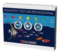 Colombo Testlab