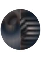 Moooi Carpets - Trichroic Hoxton Round - 350 rond Vloerkleed