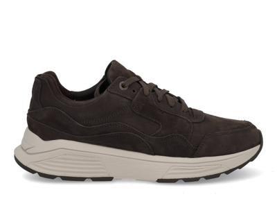 Xsensible Golden gate Men 33200.4 862 carbon Grijs maat 43