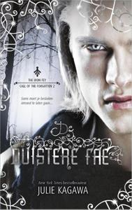 De duistere fae (Paperback)