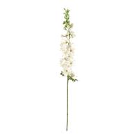 Delphinium tak Deluxe 100cm - wit