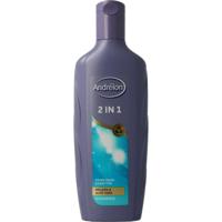 Andrelon Shampoo 2 in 1