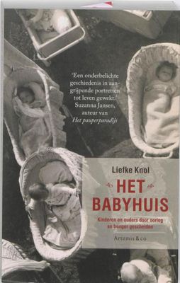Het babyhuis - Liefke Knol - ebook