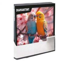 Educatief Spel Crystal Art Diamantiny