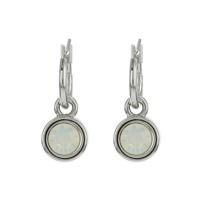 Biba Hang Oorbellen met Swarovski Steentje Wh. Opal