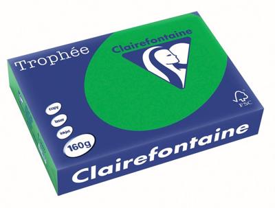 Clairefontaine Trophée Intens, gekleurd papier, A4, 160 g, 250 vel, bijartgroen
