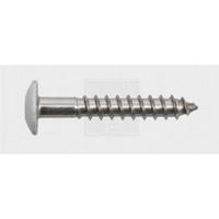 SWG 211555620 Gevelschroef 5.5 mm 55 mm T-profiel RVS A4 100 stuk(s) - thumbnail