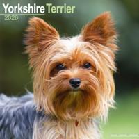 Yorkshire Terrier Kalender 2026