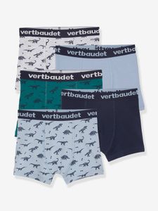 Set van 5 stretchboxers voor jongens Dino's Oeko-Tex® lot bob dino