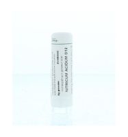 Nitricum acidum D12 - thumbnail