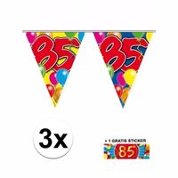 3 Gekleurde vlaggenlijnen 85 jaar met sticker