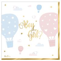 Feestservetten - 16x - geboorte - gender reveal - 3 laags - 33 x 33 cm
