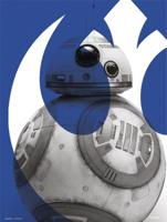 Kunstdruk Star Wars - Episode IX BB 8 30x40cm