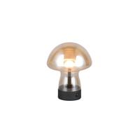 Trio TafellampDooley oplaadbaar met amber glas - R54981113