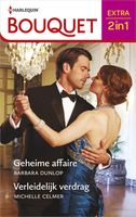 Geheime affaire / Verleidelijk verdrag - Barbara Dunlop, Michelle Celmer - ebook