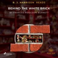 B.J. Harrison Reads Behind the White Brick - thumbnail