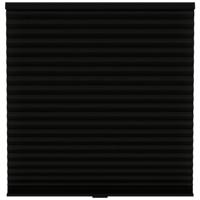 Leen Bakker - Fenstr Plisségordijn Chicago Dubbel 45mm Lichtdoorlatend - (15024) - Polyester - Zwart - 120x10x10 Cm