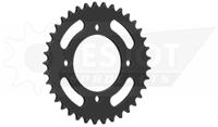 ESJOT Chain wheel 461 37z steel black