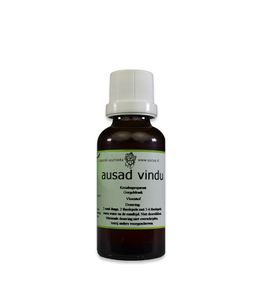 Ausad vindu