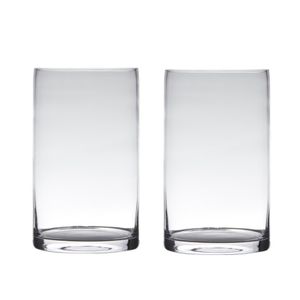 Set van 2x stuks transparante home-basics cylinder vorm vaas/vazen van glas 40 x 15 cm