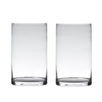 Set van 2x stuks transparante home-basics cylinder vorm vaas/vazen van glas 40 x 15 cm