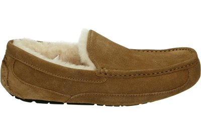 UGG ASCOT M - alle