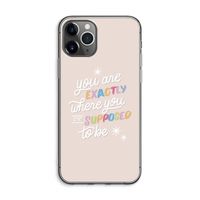 Right Place: iPhone 11 Pro Max Transparant Hoesje