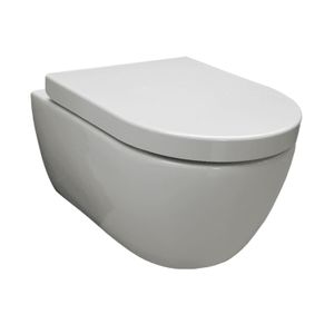 Geberit UP100 Toiletset set31 Sanilux Easy Flush Randloos 48cm compact met Delta drukplaat