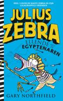 Ellende met de Egyptenaren (Hardback)