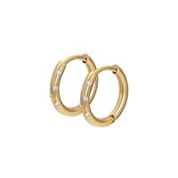 iXXXi Creolen Hoops Elegance Goud