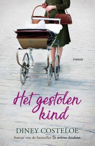 Het gestolen kind - Diney Costeloe - ebook