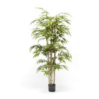 Bamboo x7 180 cm/1024 lvs - Emerald