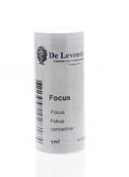 Volatile Focus Volatile Focus