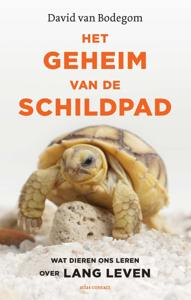 Het geheim van de schildpad (Paperback)