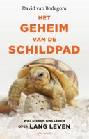 Het geheim van de schildpad (Paperback)