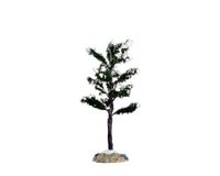 Conifer tree, small - LEMAX