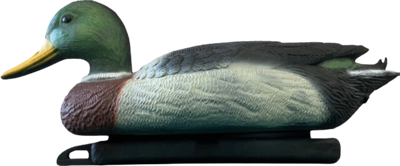 Superfish Wilde eend man